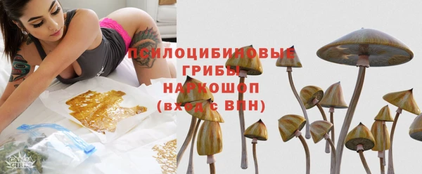 тгк Алексеевка